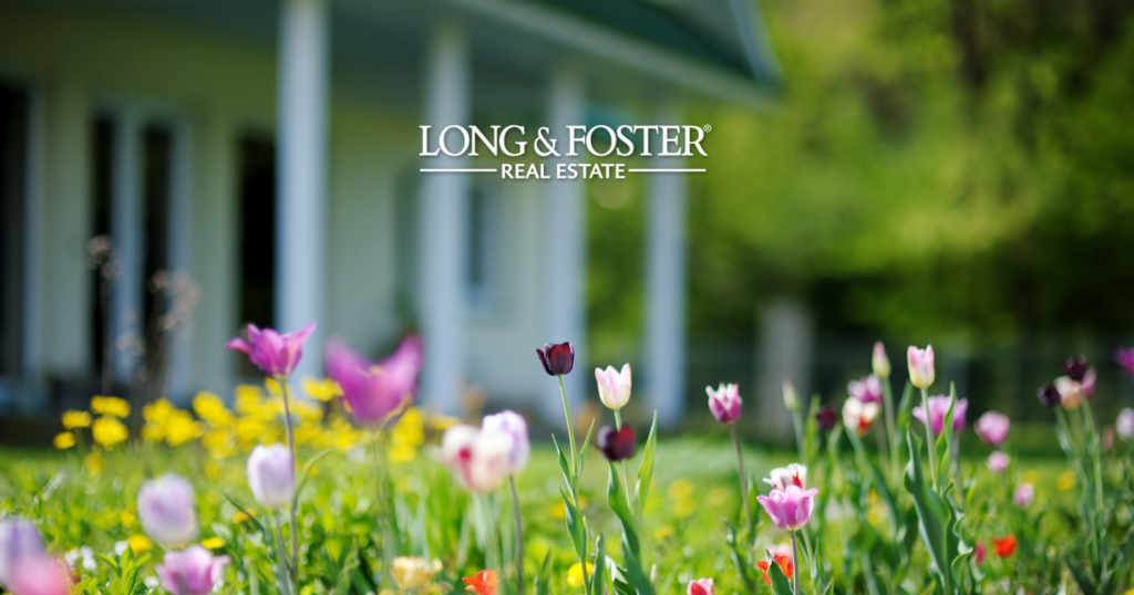 preparing Lake Anna home for market