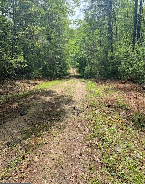 buying land in Virginia